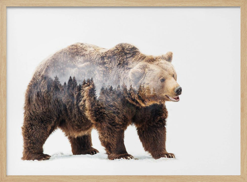 Bear | Poster