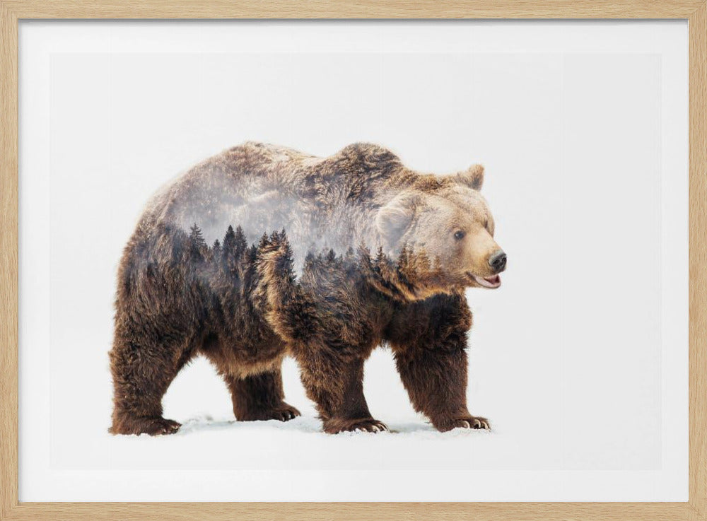 Bear | Poster