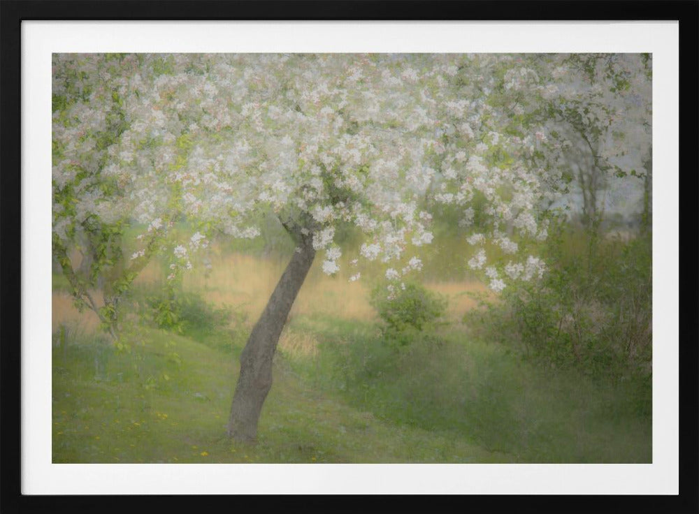 In de tuin | Poster