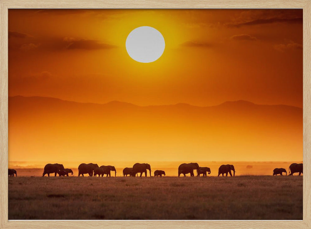 Zonsopgangparade | Poster