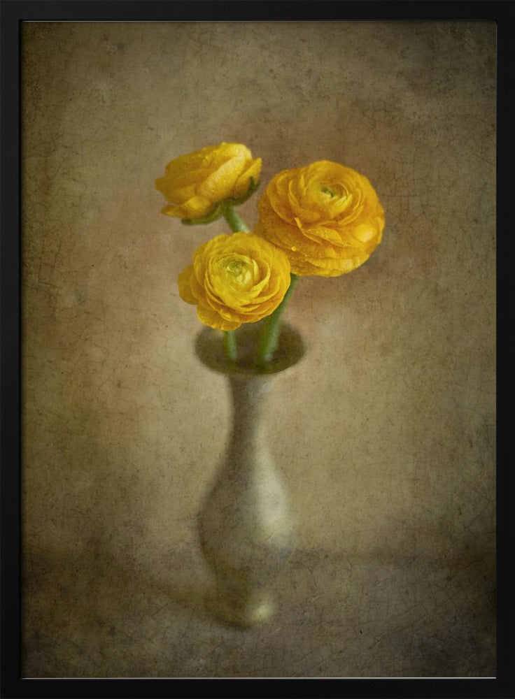 Yellow buttercups | Poster