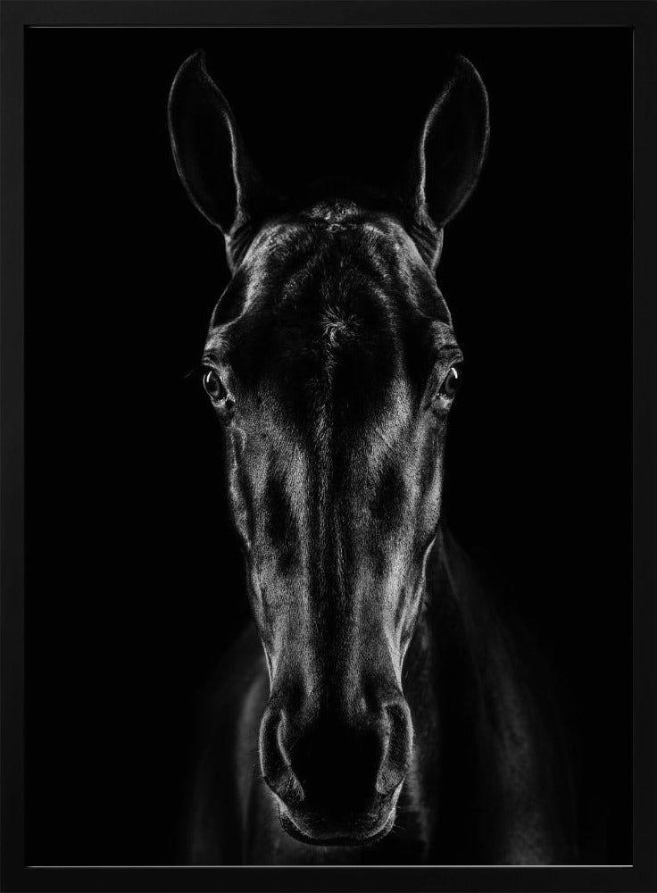 The Horse in Noir 15 | Poster
