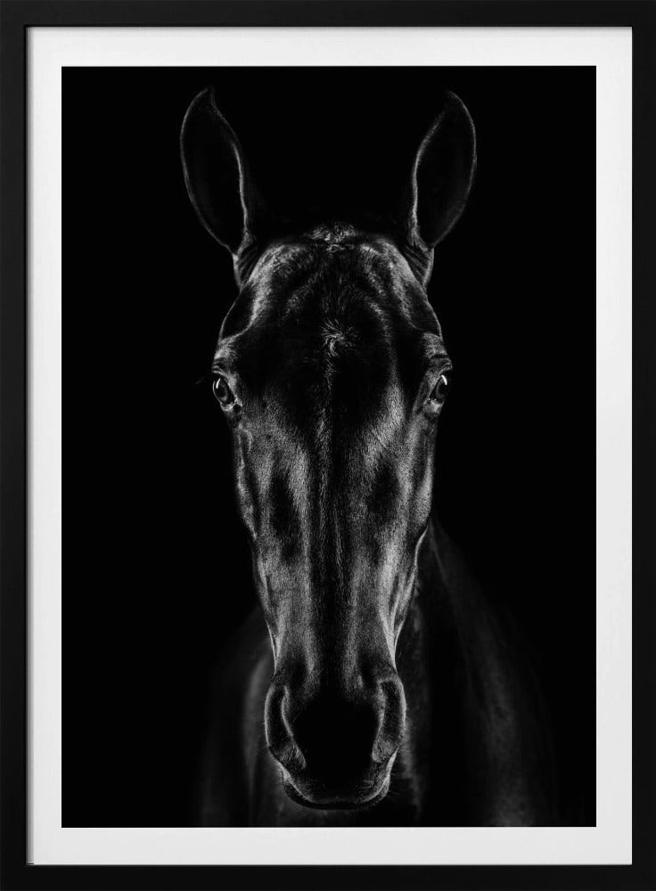 The Horse in Noir 15 | Poster