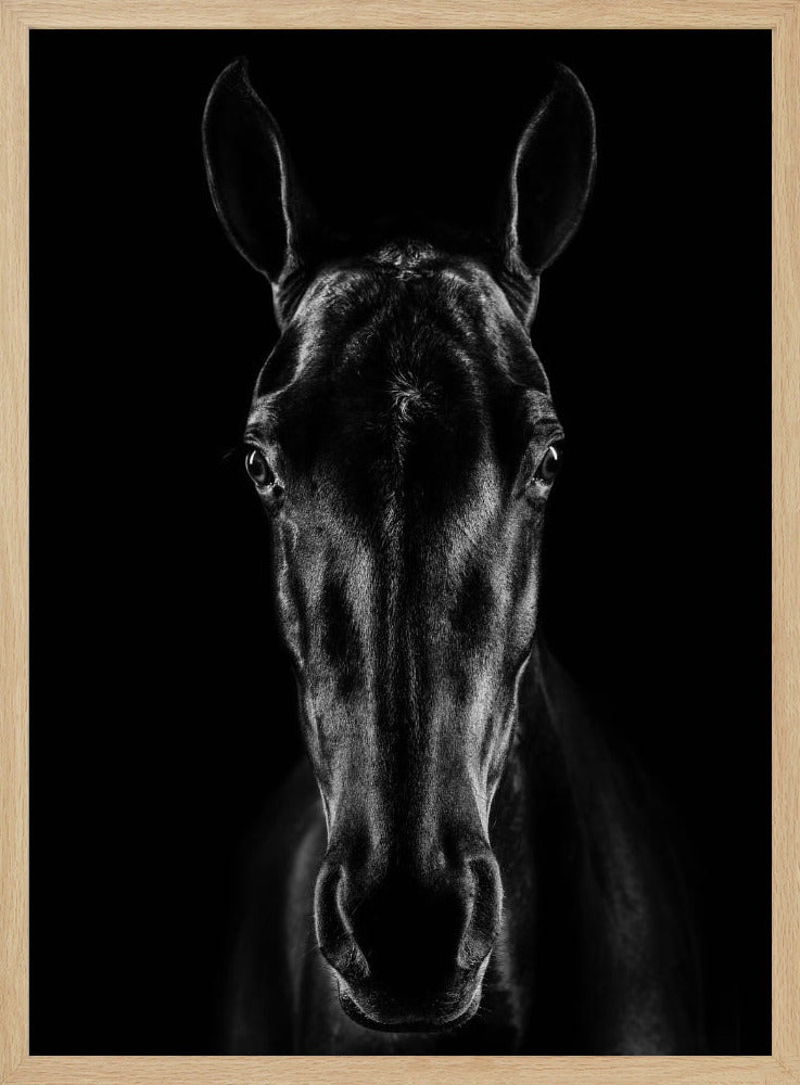 The Horse in Noir 15 | Poster