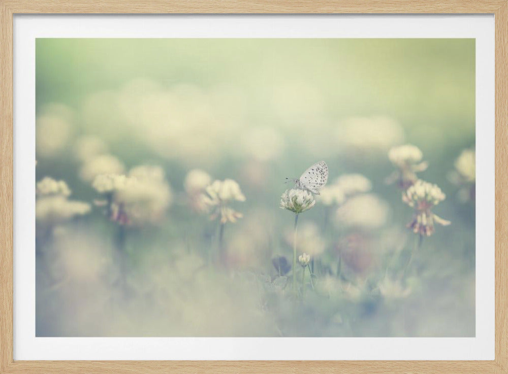 small world | Poster