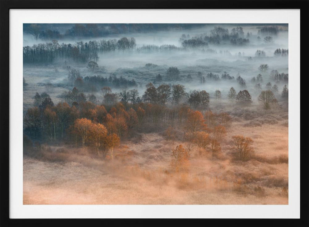 Mistige herfstdageraad | Poster
