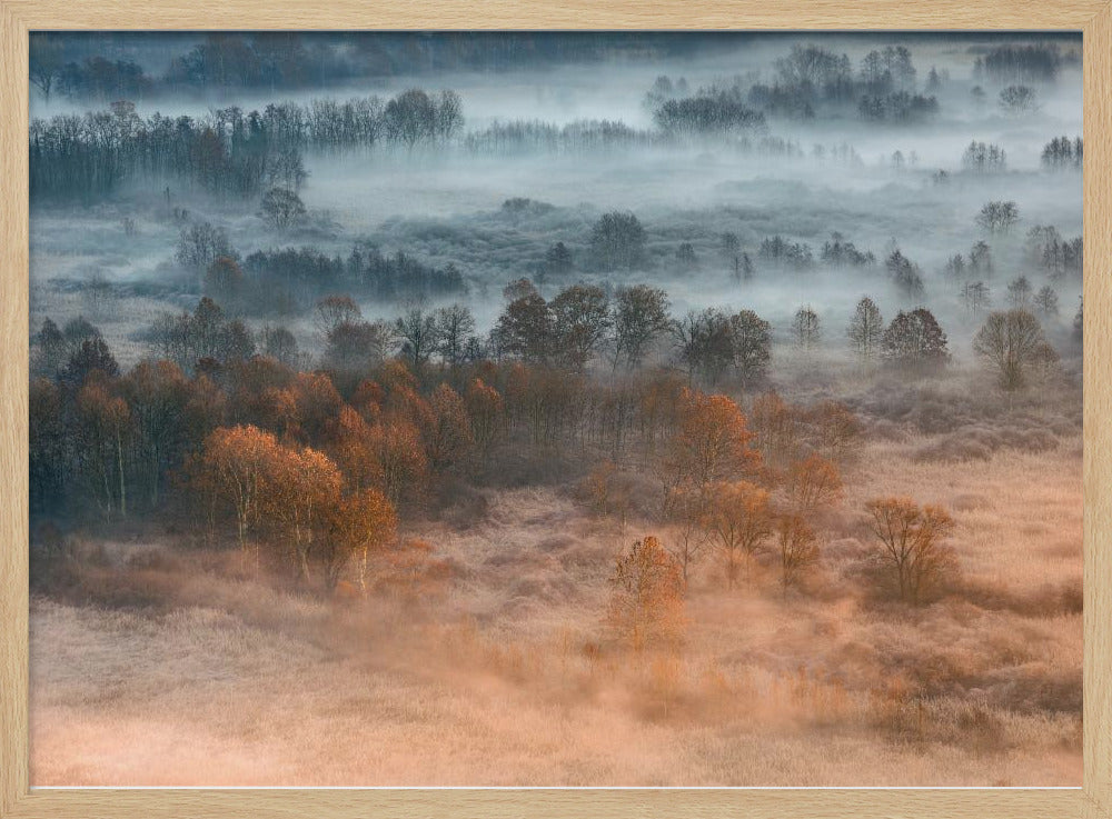 Mistige herfstdageraad | Poster
