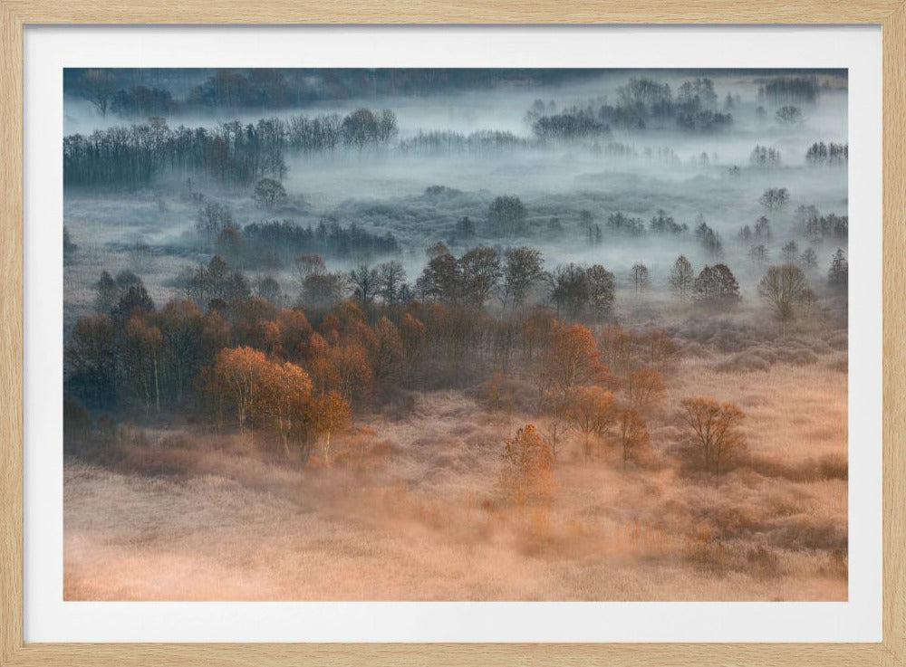 Mistige herfstdageraad | Poster