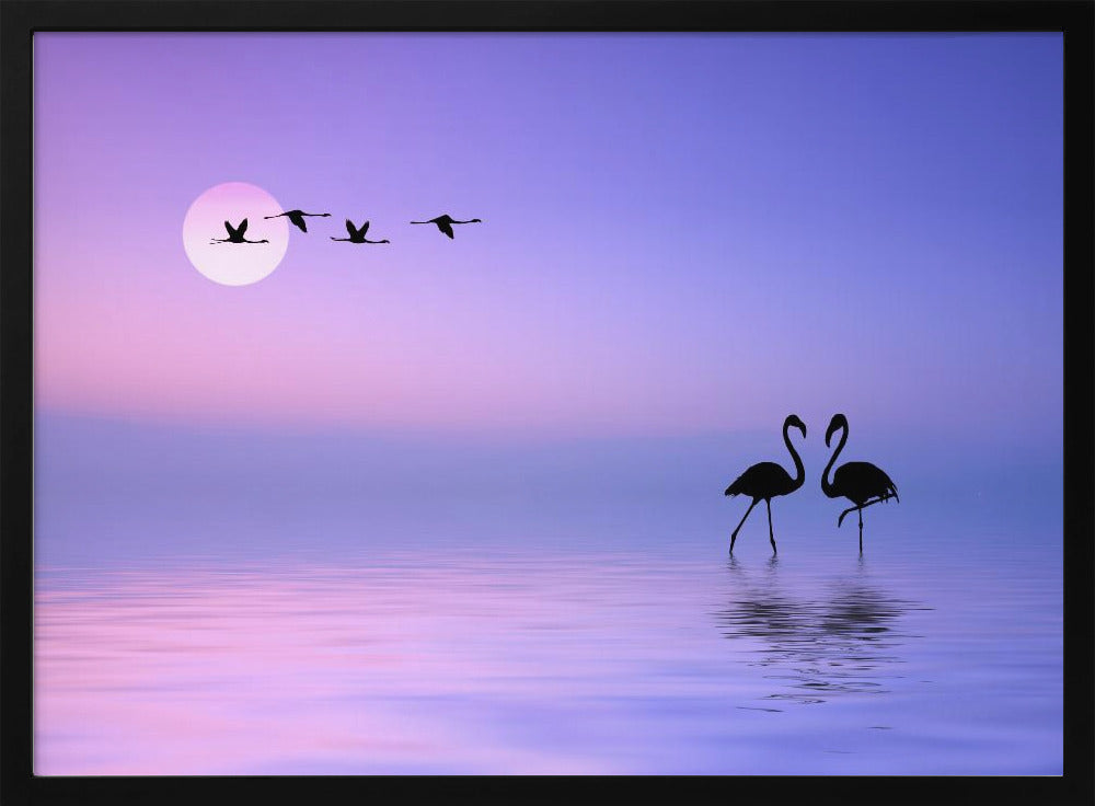 Vliegende flamingo | Poster