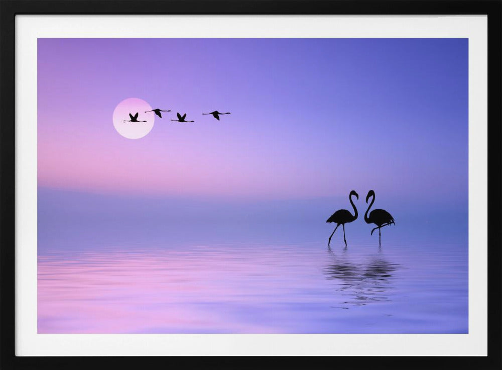 Vliegende flamingo | Poster