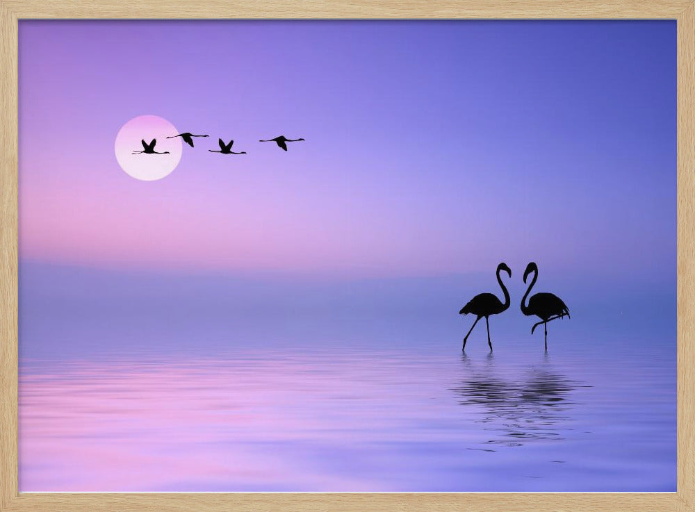 Vliegende flamingo | Poster