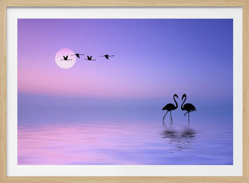 Vliegende flamingo | Poster