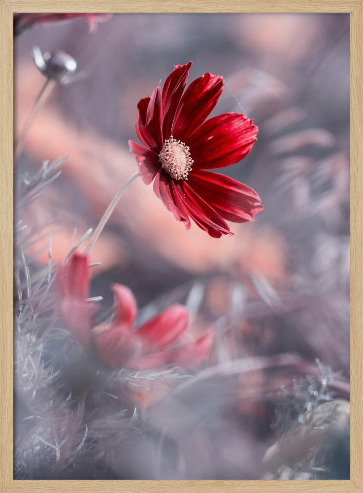 Carmen II | Poster