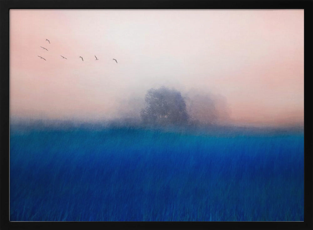 De boom op het blauw | Poster