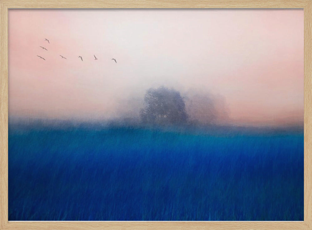 De boom op het blauw | Poster