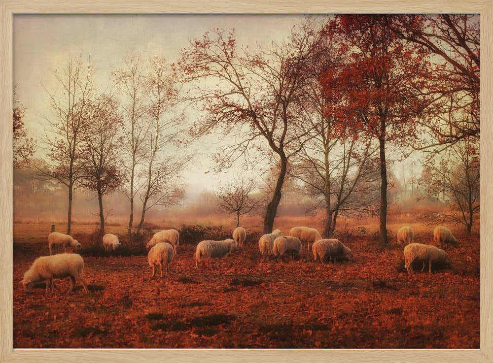 Laatste dagen van de herfst | Poster