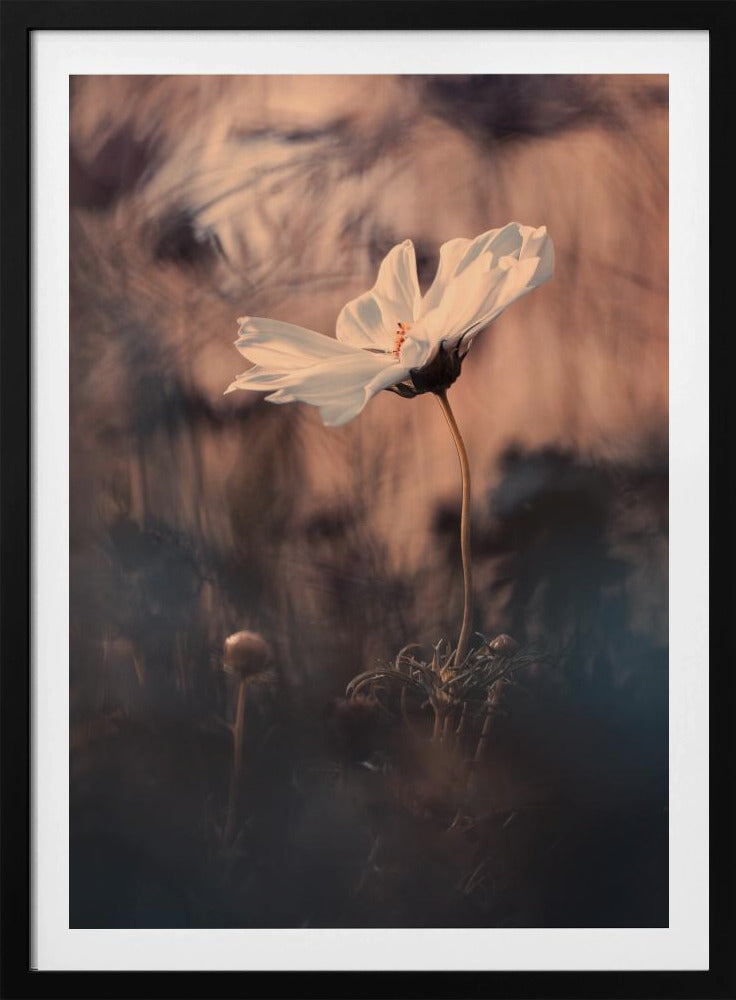 De Bruid | Poster