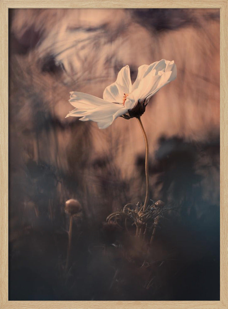 De Bruid | Poster