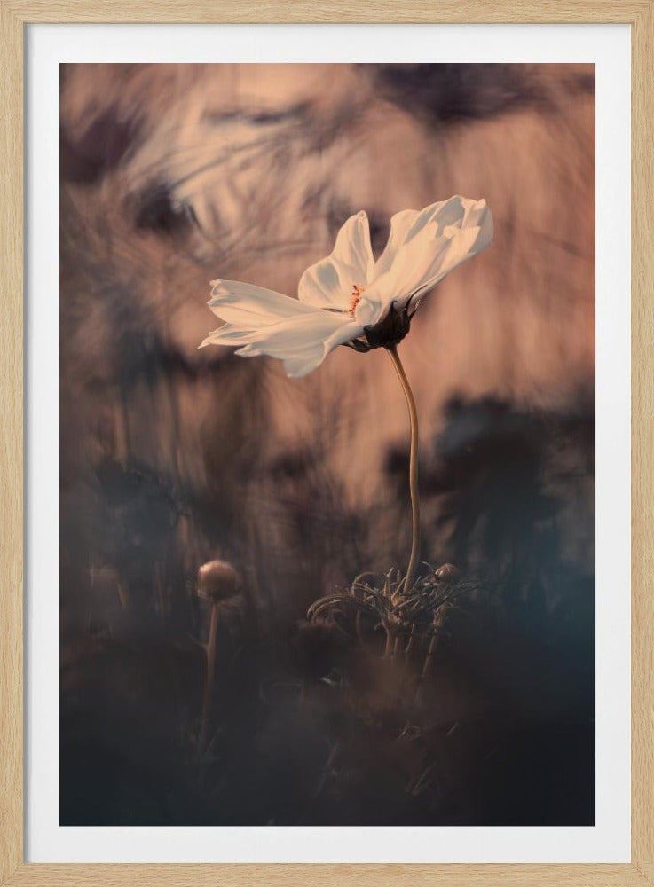 De Bruid | Poster