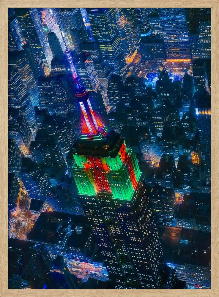 Vliegend NYC | Poster