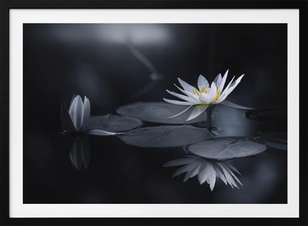 Reflectie | Poster