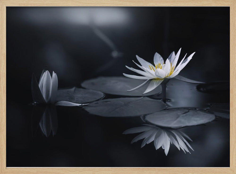 Reflectie | Poster