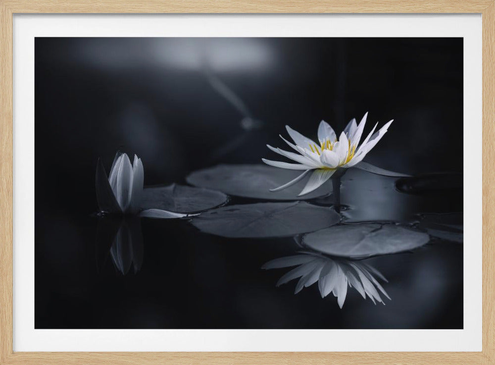 Reflectie | Poster