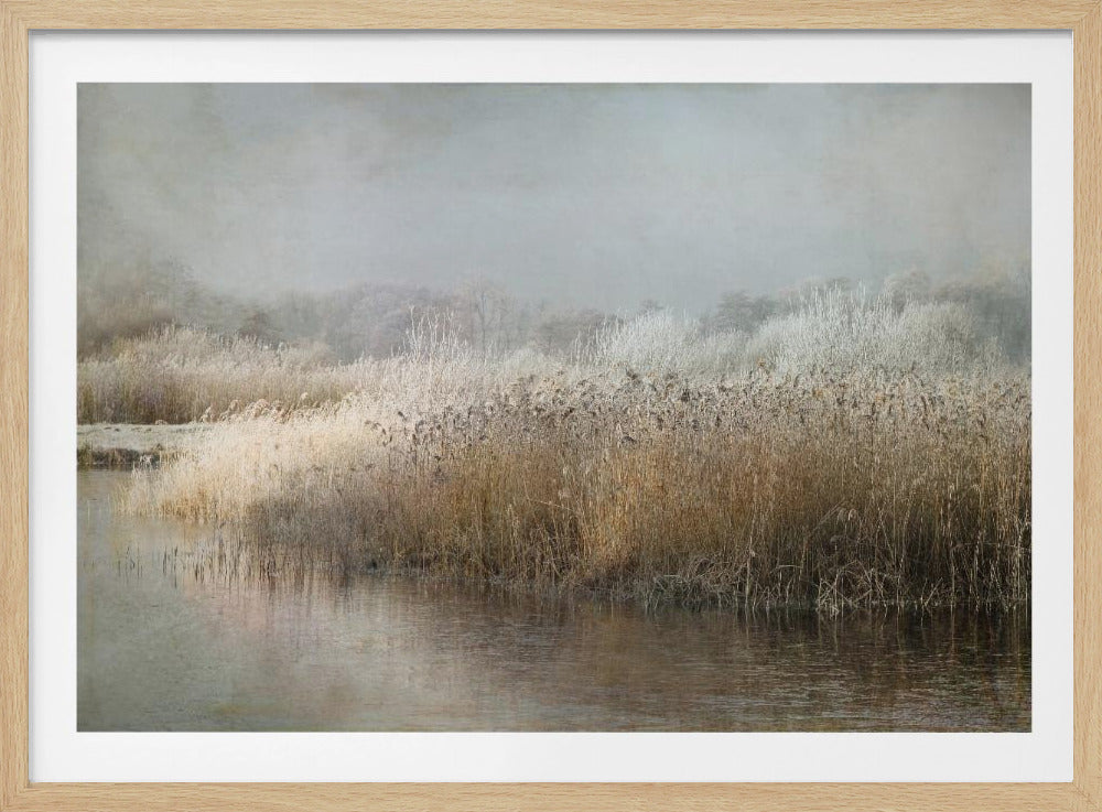 Wintermorgen | Poster