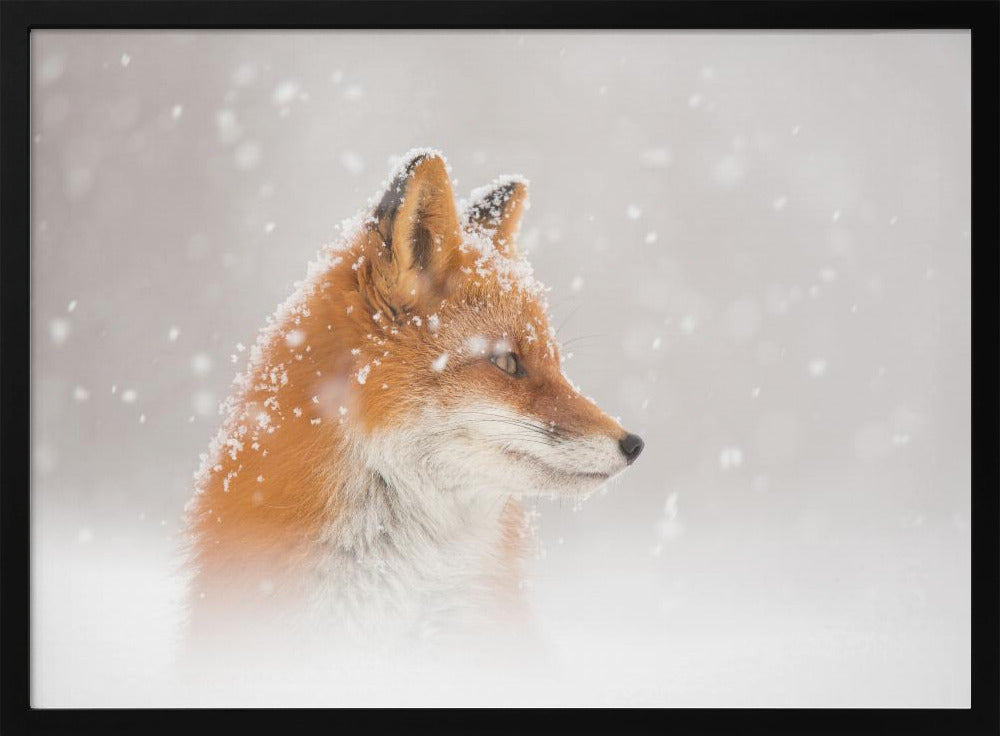Er valt sneeuw... | Poster