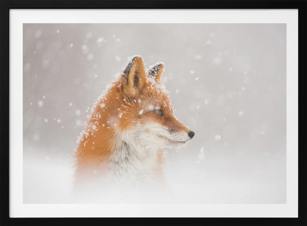 Er valt sneeuw... | Poster