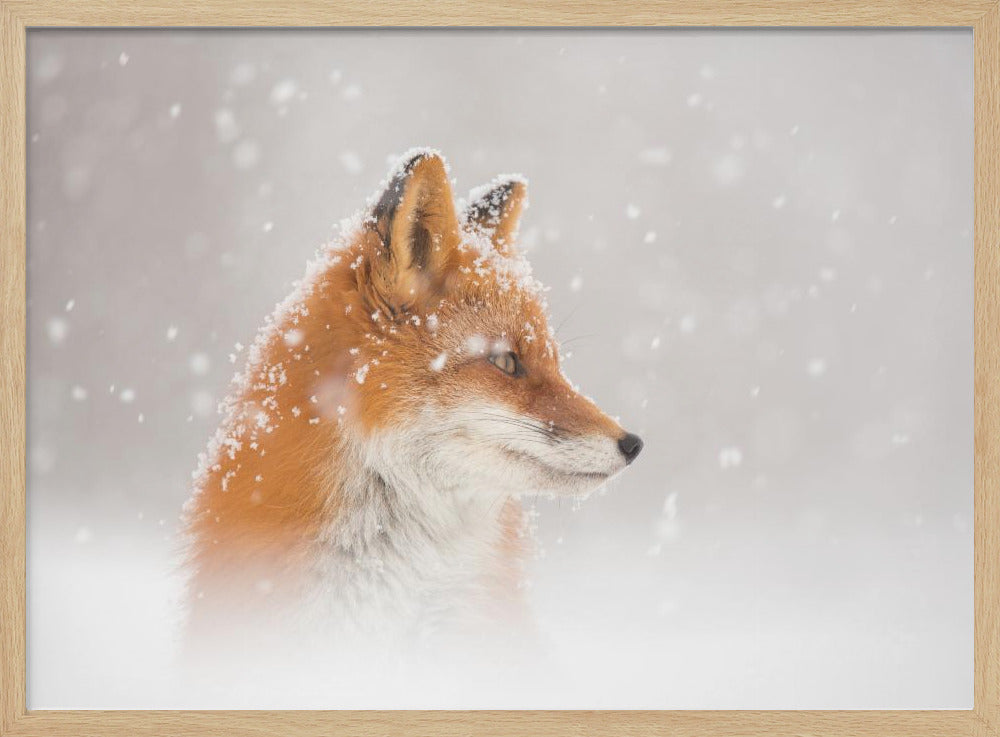 Er valt sneeuw... | Poster