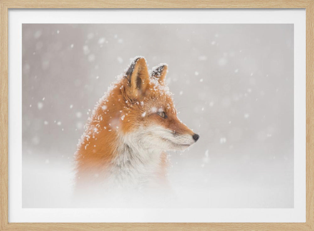 Er valt sneeuw... | Poster