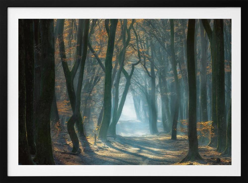 Cold Light | Poster