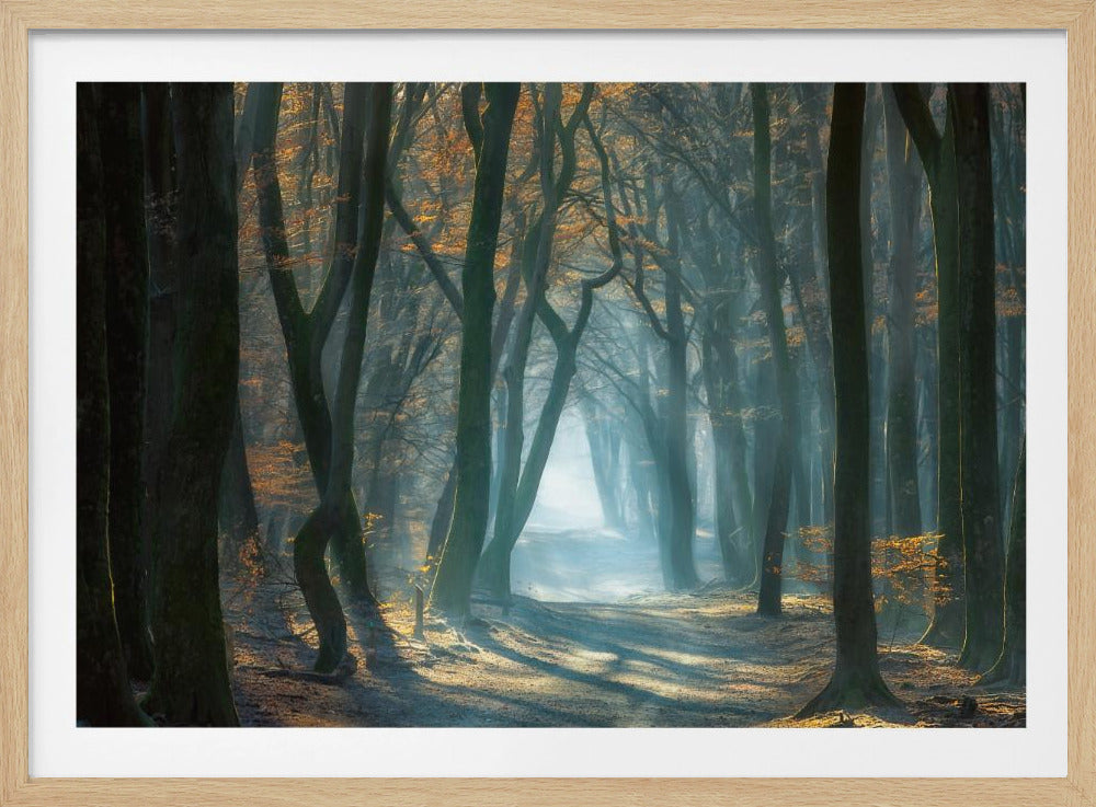 Cold Light | Poster