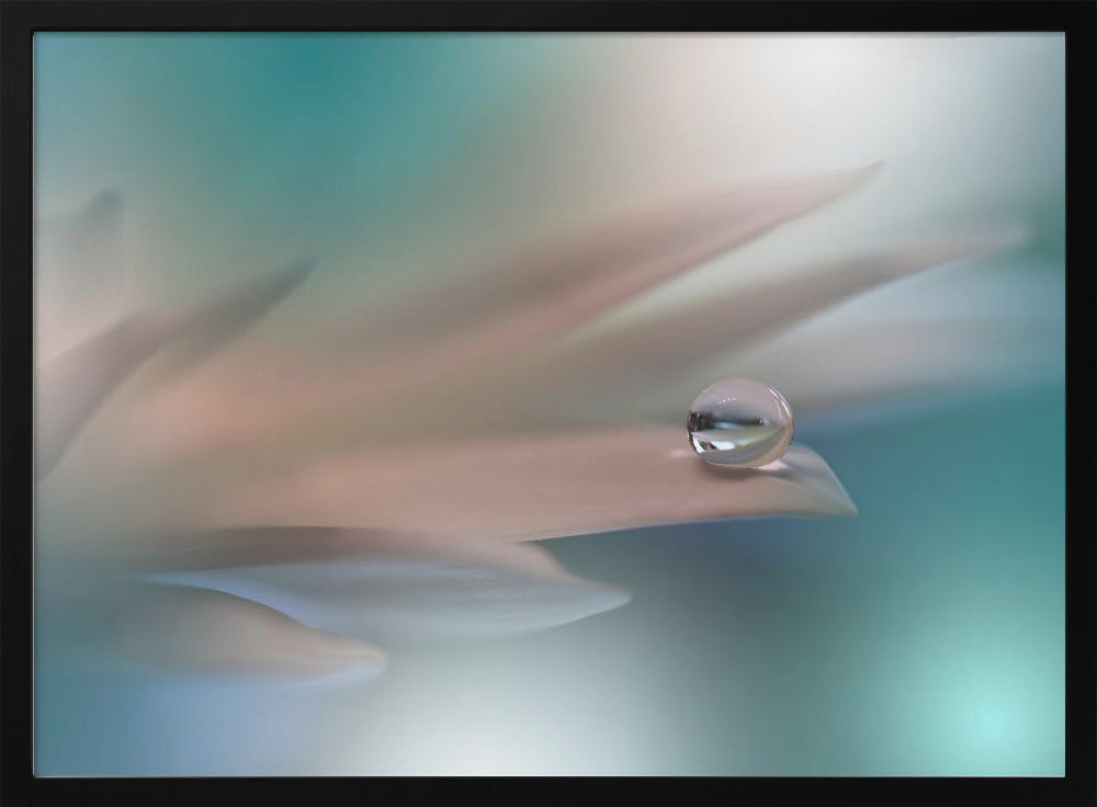 Witte Symfonie.. | Poster