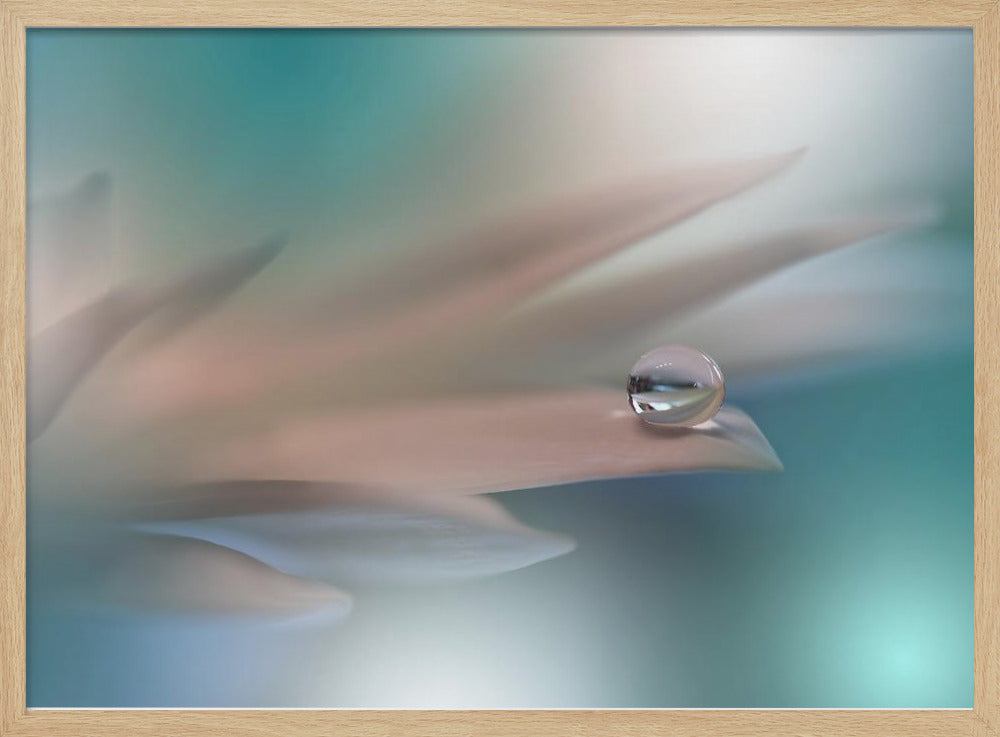 Witte Symfonie.. | Poster