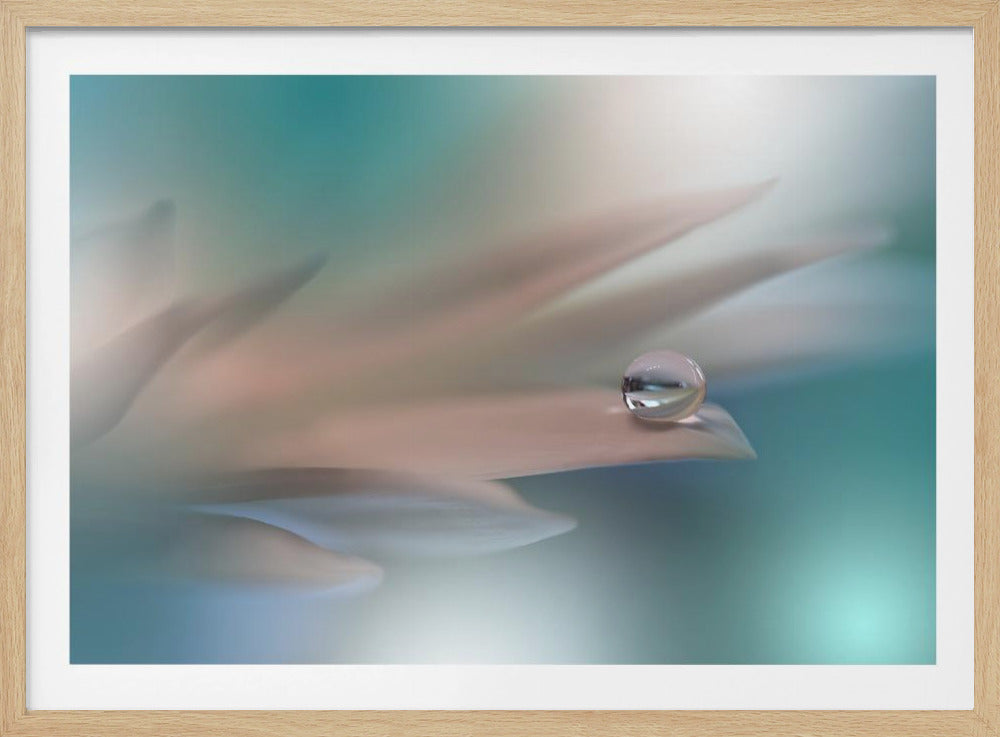 Witte Symfonie.. | Poster