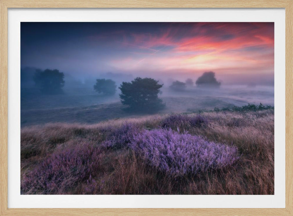 "de kleuren van heide" | Poster