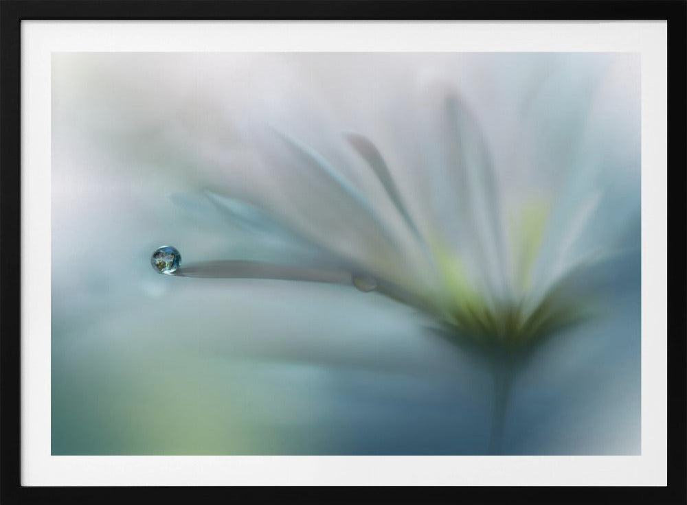 Velden van Hoop.. | Poster
