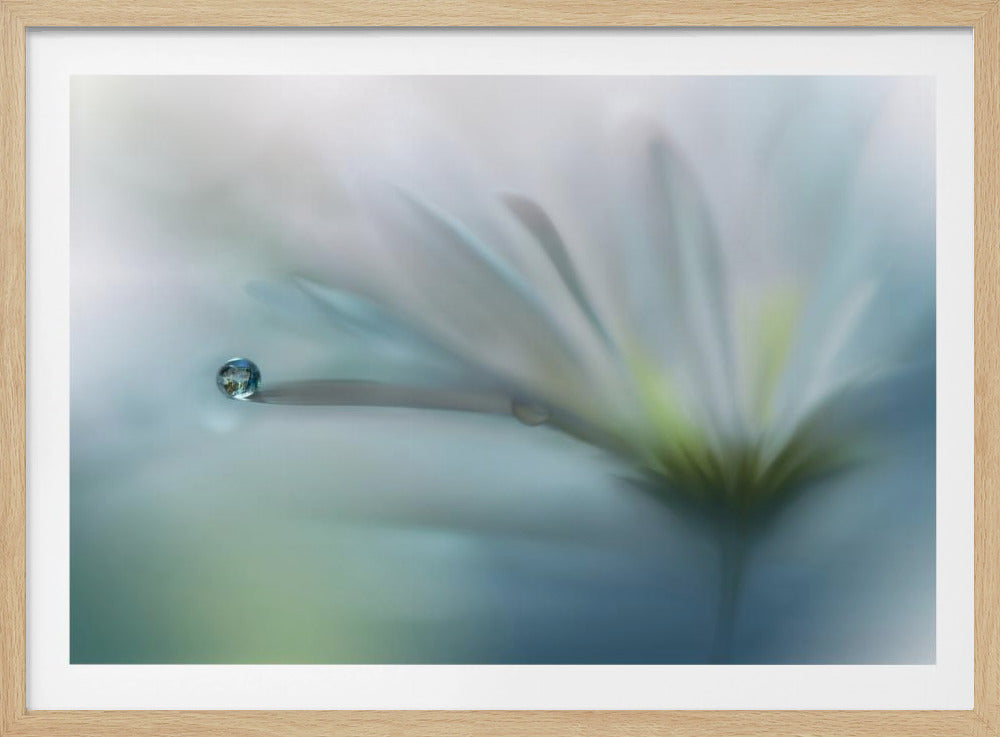 Velden van Hoop.. | Poster