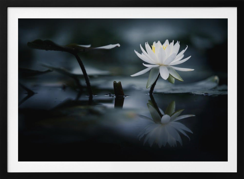 Reflectie | Poster