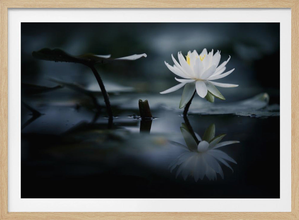 Reflectie | Poster