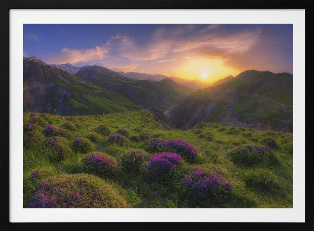 lente in show | Poster