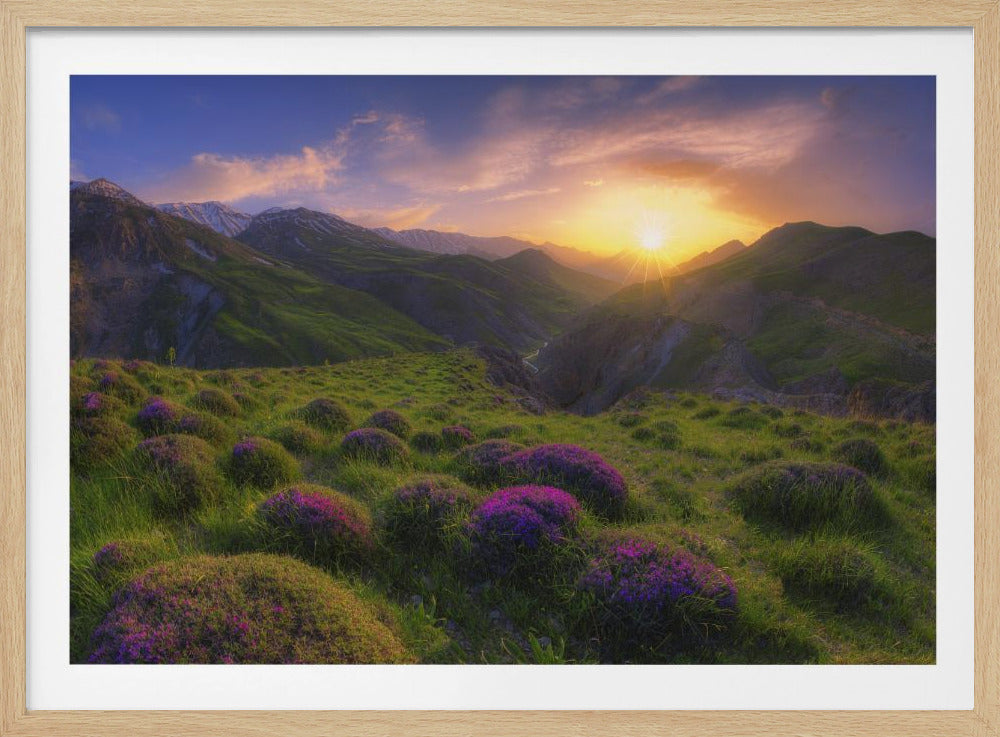 lente in show | Poster