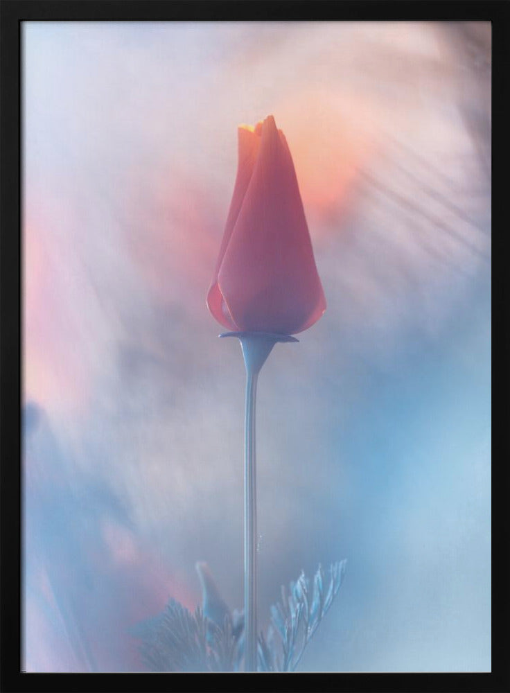 Douceur & Volupté | Poster