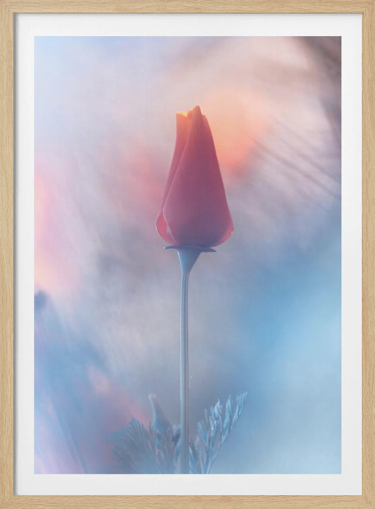 Douceur & Volupté | Poster