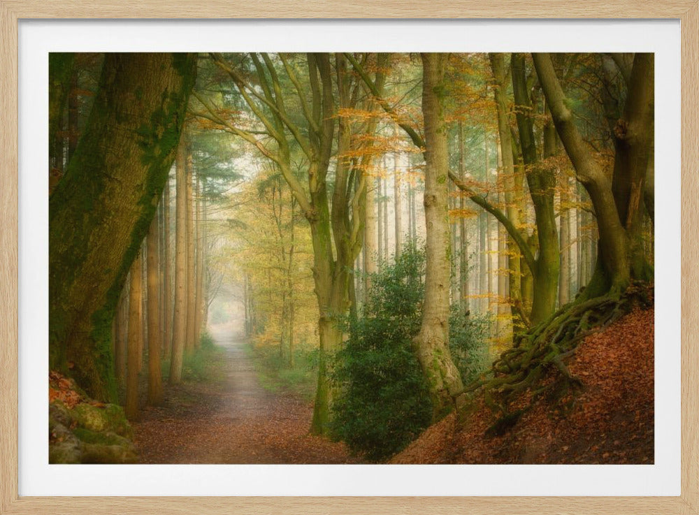 Volg de mist | Poster