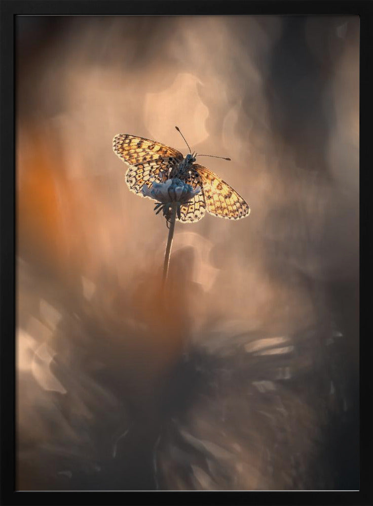 Natuurlijk ingelijst | Poster