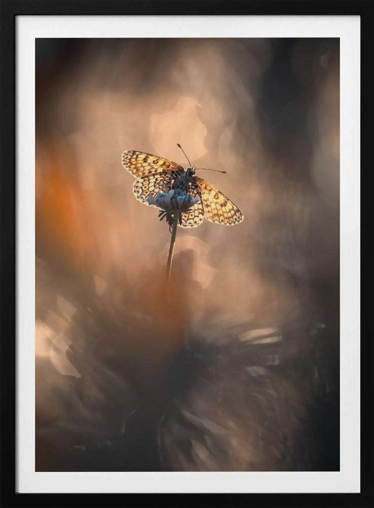 Natuurlijk ingelijst | Poster