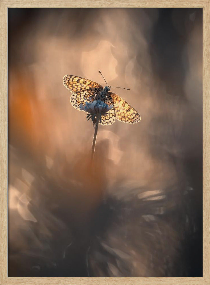 Natuurlijk ingelijst | Poster
